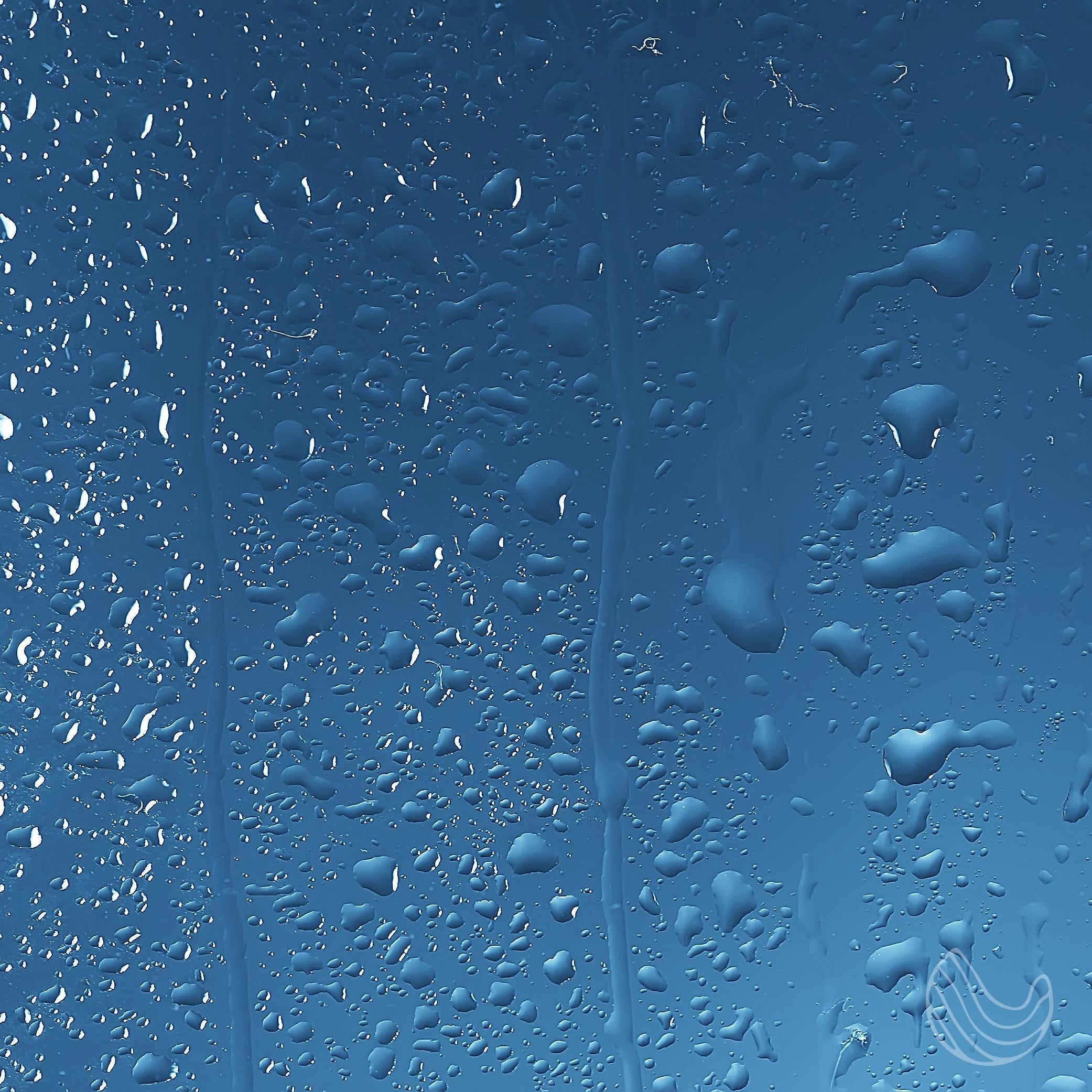 Pausora — Grapefruit Shower Mist