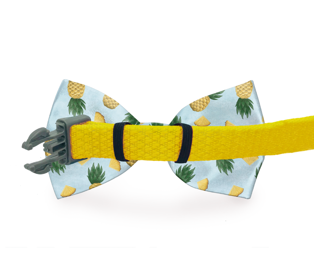 Pausora — Preppy Floral Pet Bow Tie